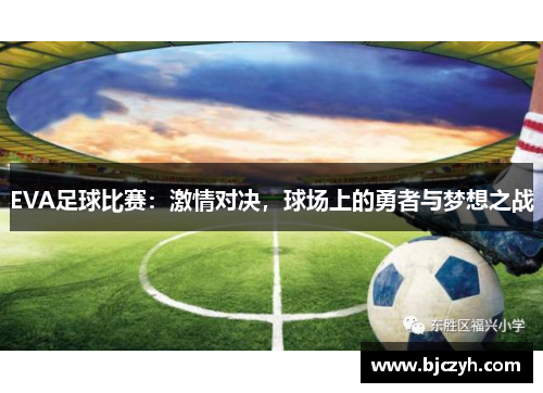 EVA足球比赛：激情对决，球场上的勇者与梦想之战